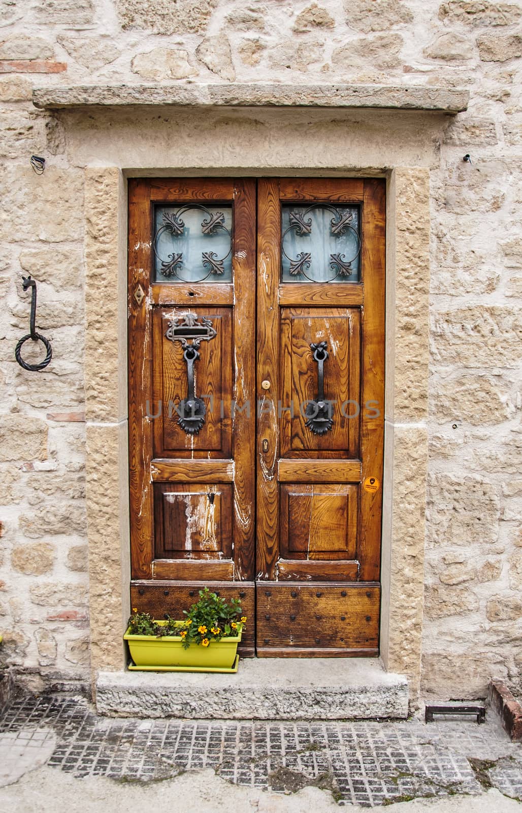 Italian door  by edella