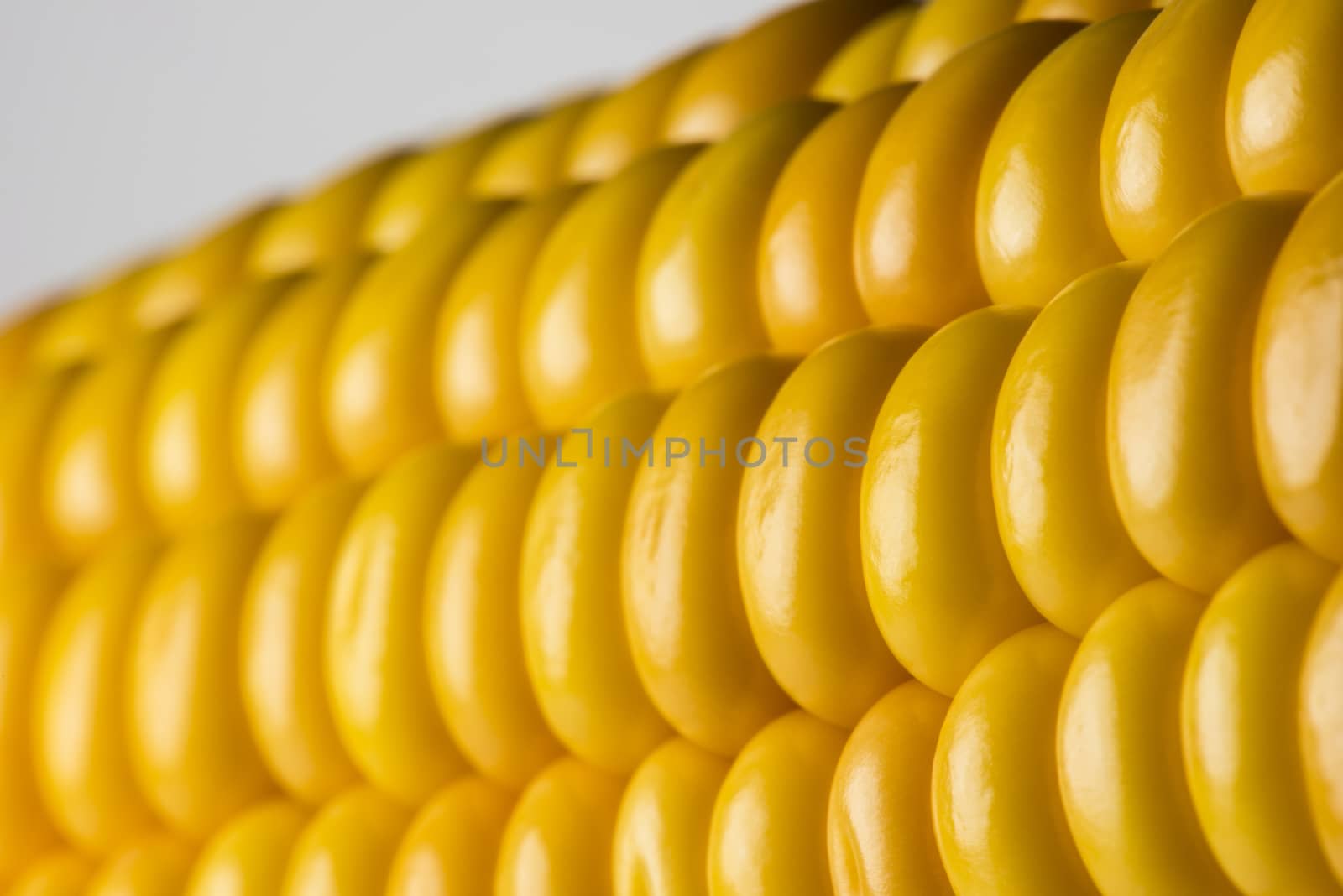 Abstract detail of corn
 by Tofotografie