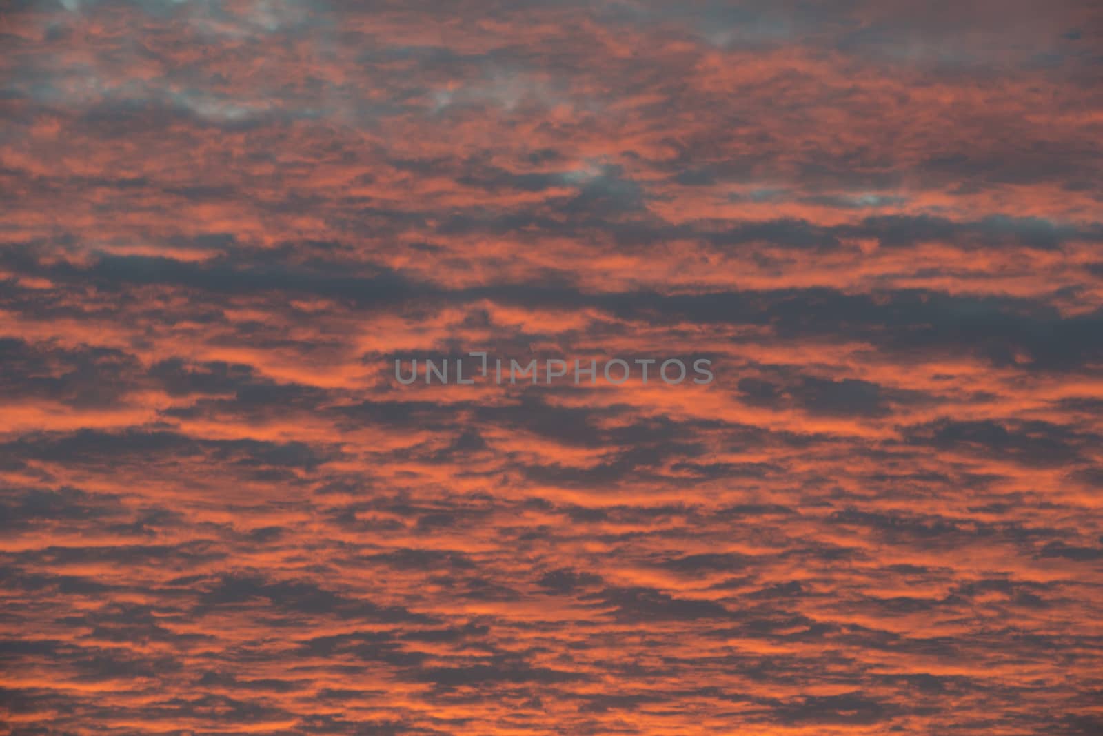 Abstract red and orange colored skies during sunrise in the Netherlands
