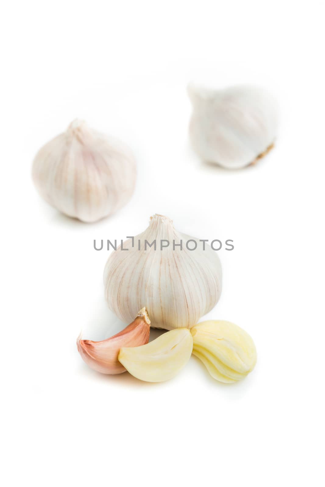 garlic by AEyZRiO