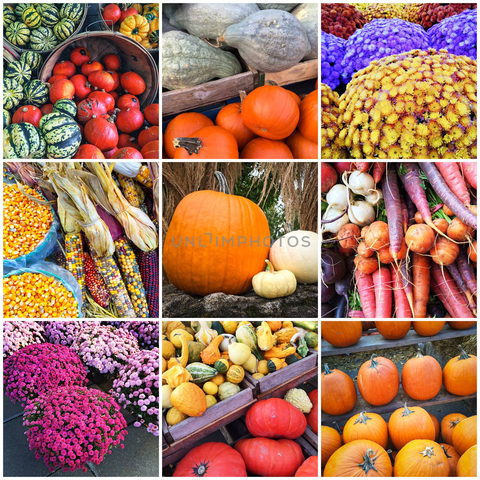Autumn market. Vegetables and flowers, collage of nine photos.