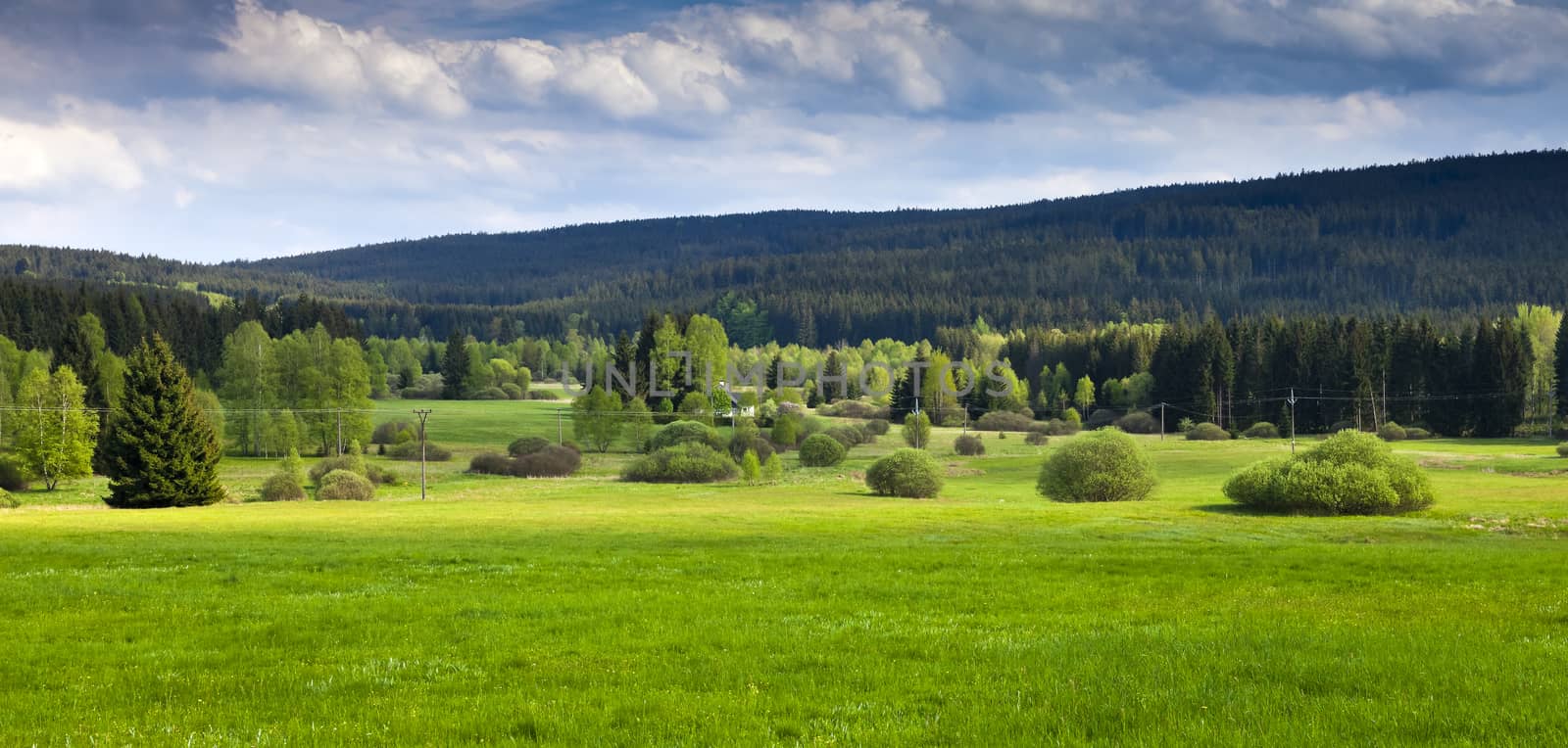 Summer mountains green grass and blue sky