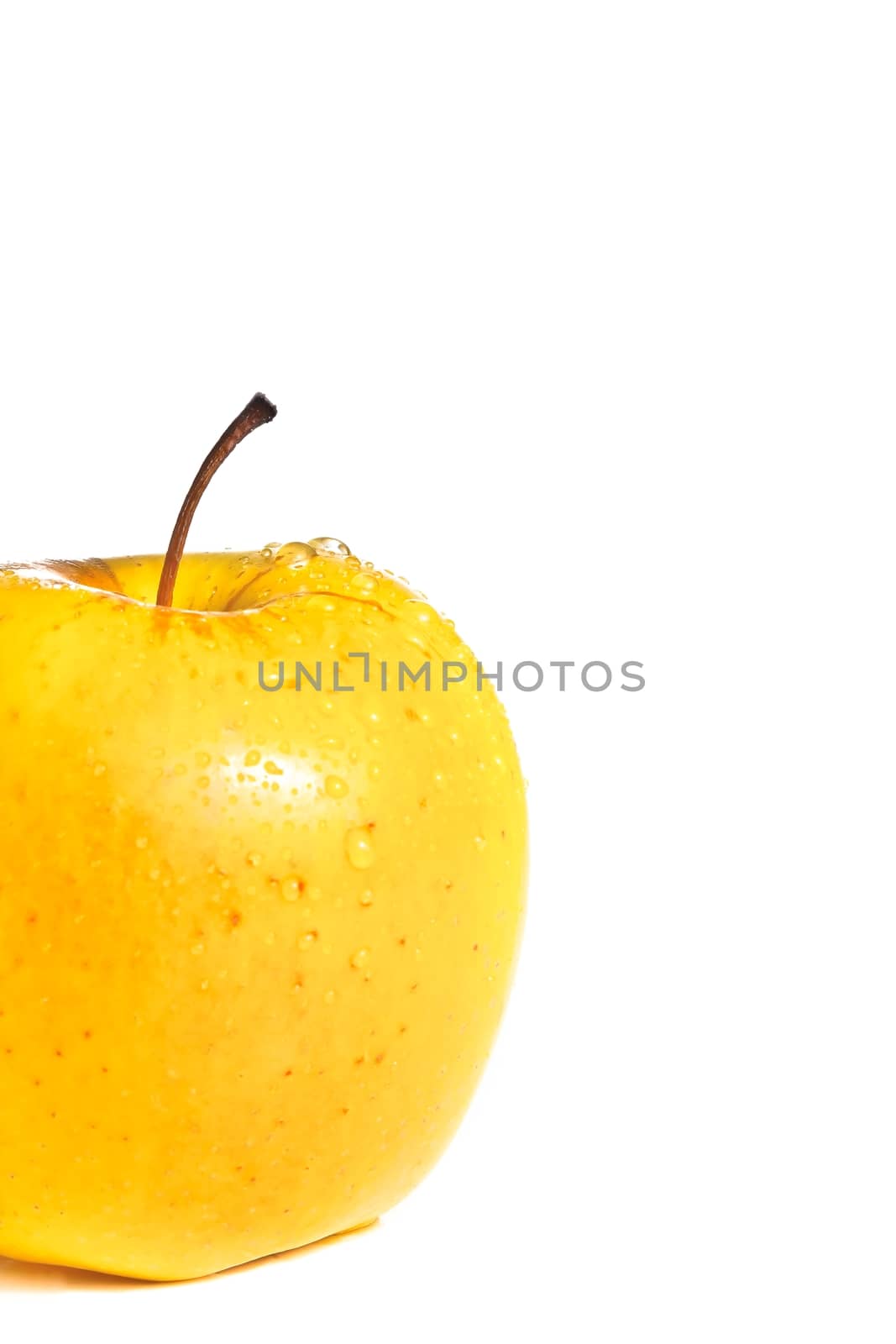 wet yellow delicious half apple with space for text on white background