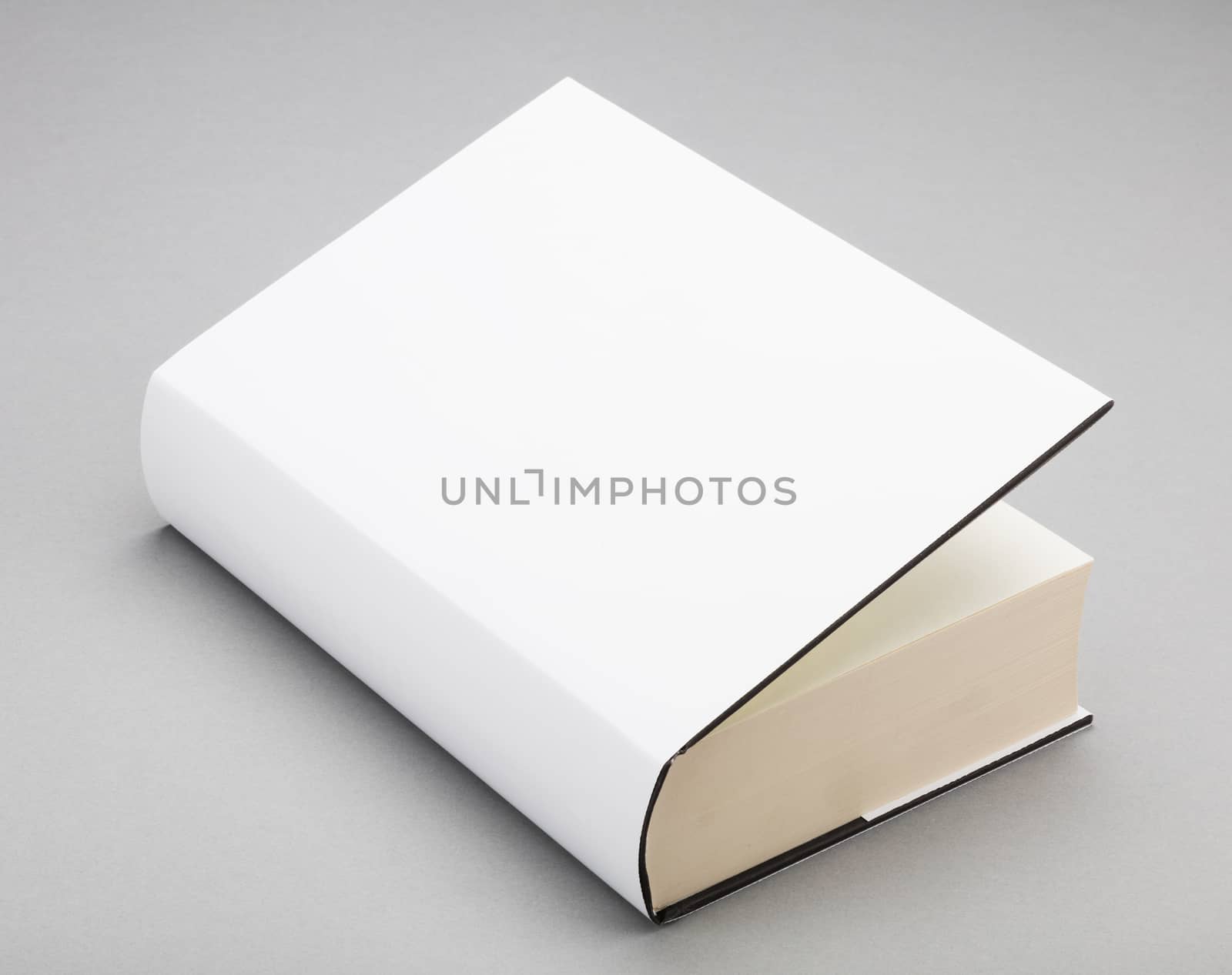Thick Blank book with ajar white cover