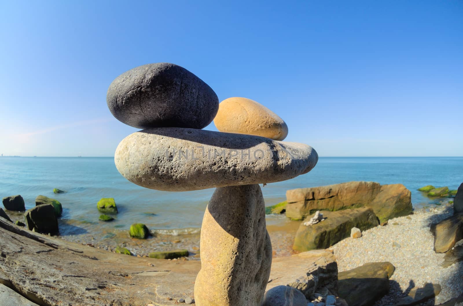 Group of black and white stones on the stony coast