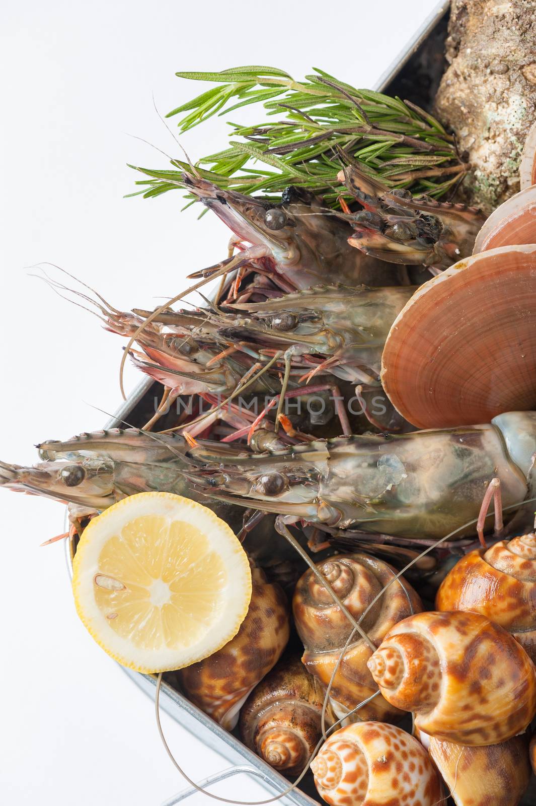 Fresh seafood set from gulf of Thailand in steel tray on white table