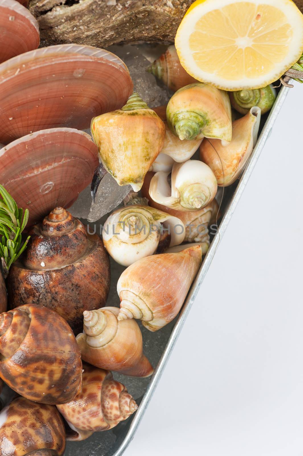 Fresh seafood set from gulf of Thailand in steel tray on white table