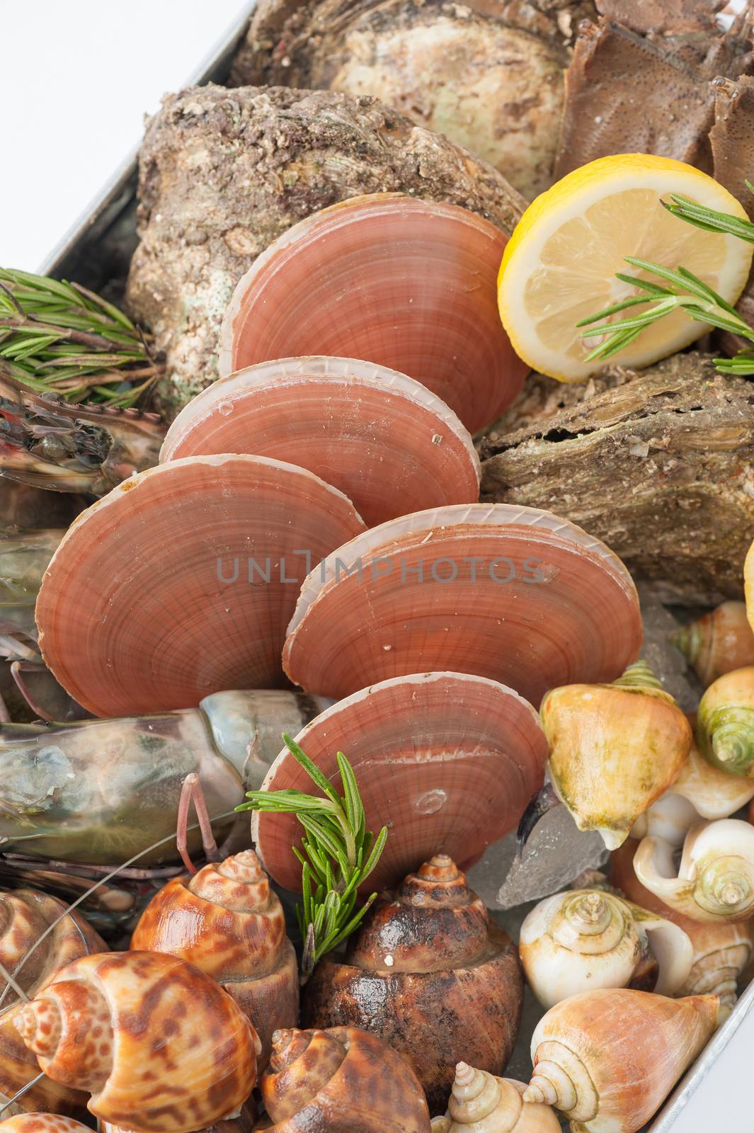 Fresh seafood set from gulf of Thailand in steel tray on white table