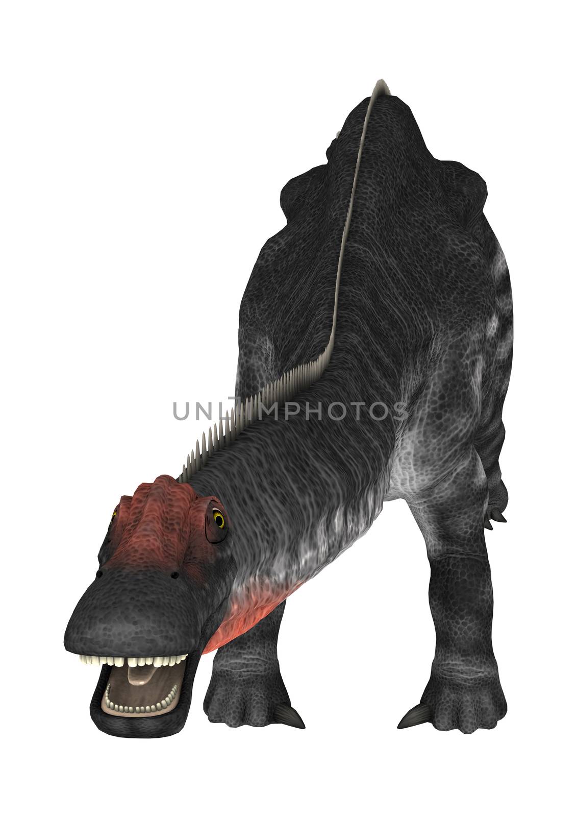 Dinosaur Apatosaurus by Vac