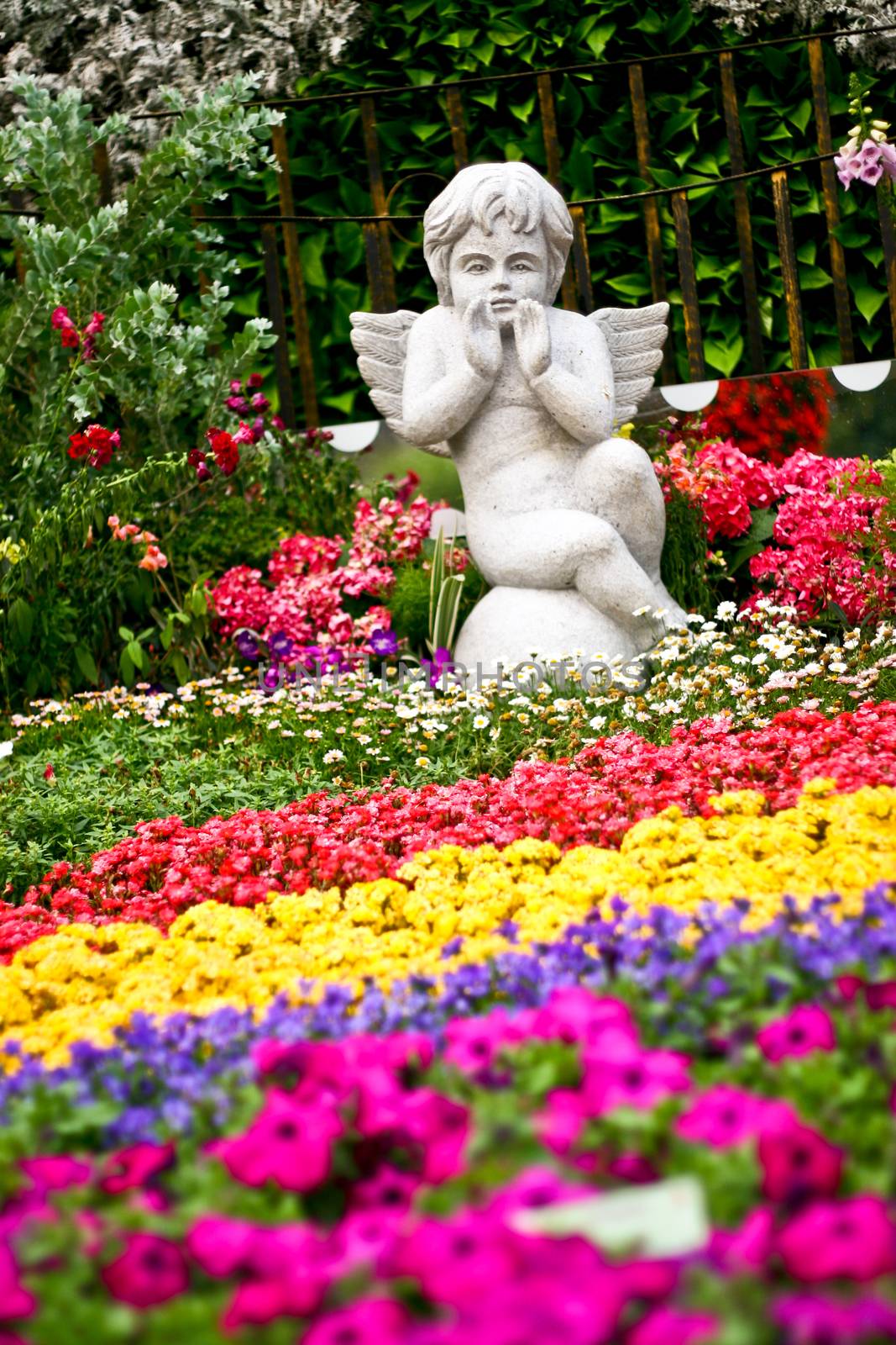 Angel with flowers and plants