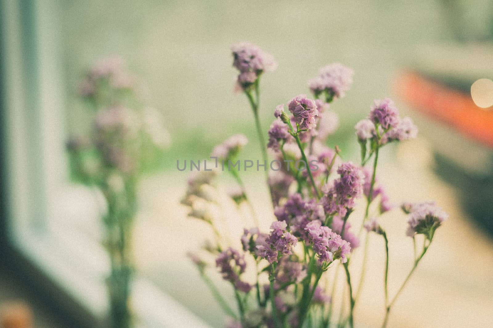 Purple Statice Flower - Limonium with film filter effect