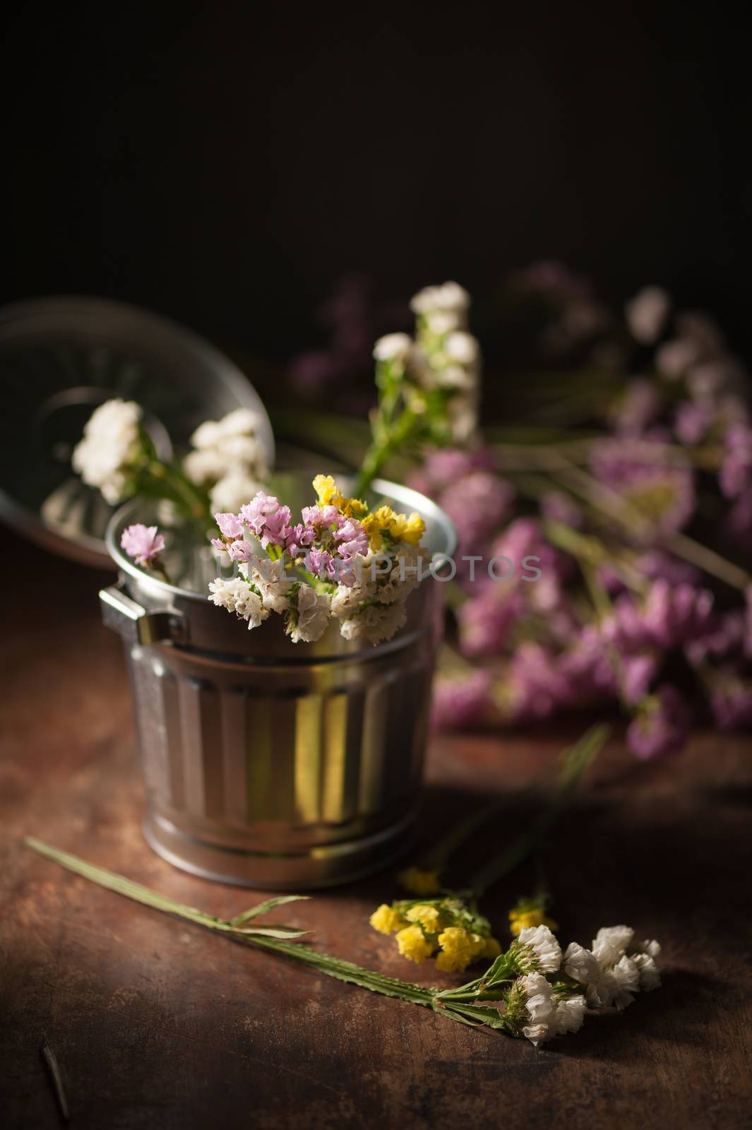 Statice Flower - Limonium with low key scene