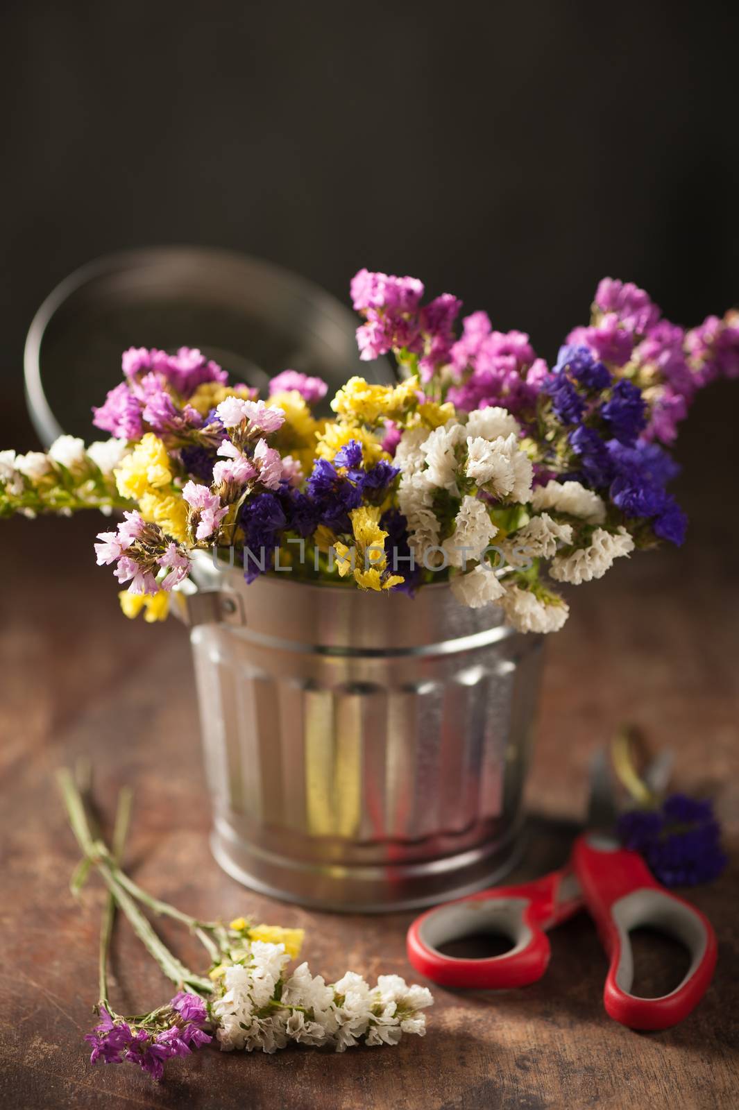 Statice Flower - Limonium with low key scene