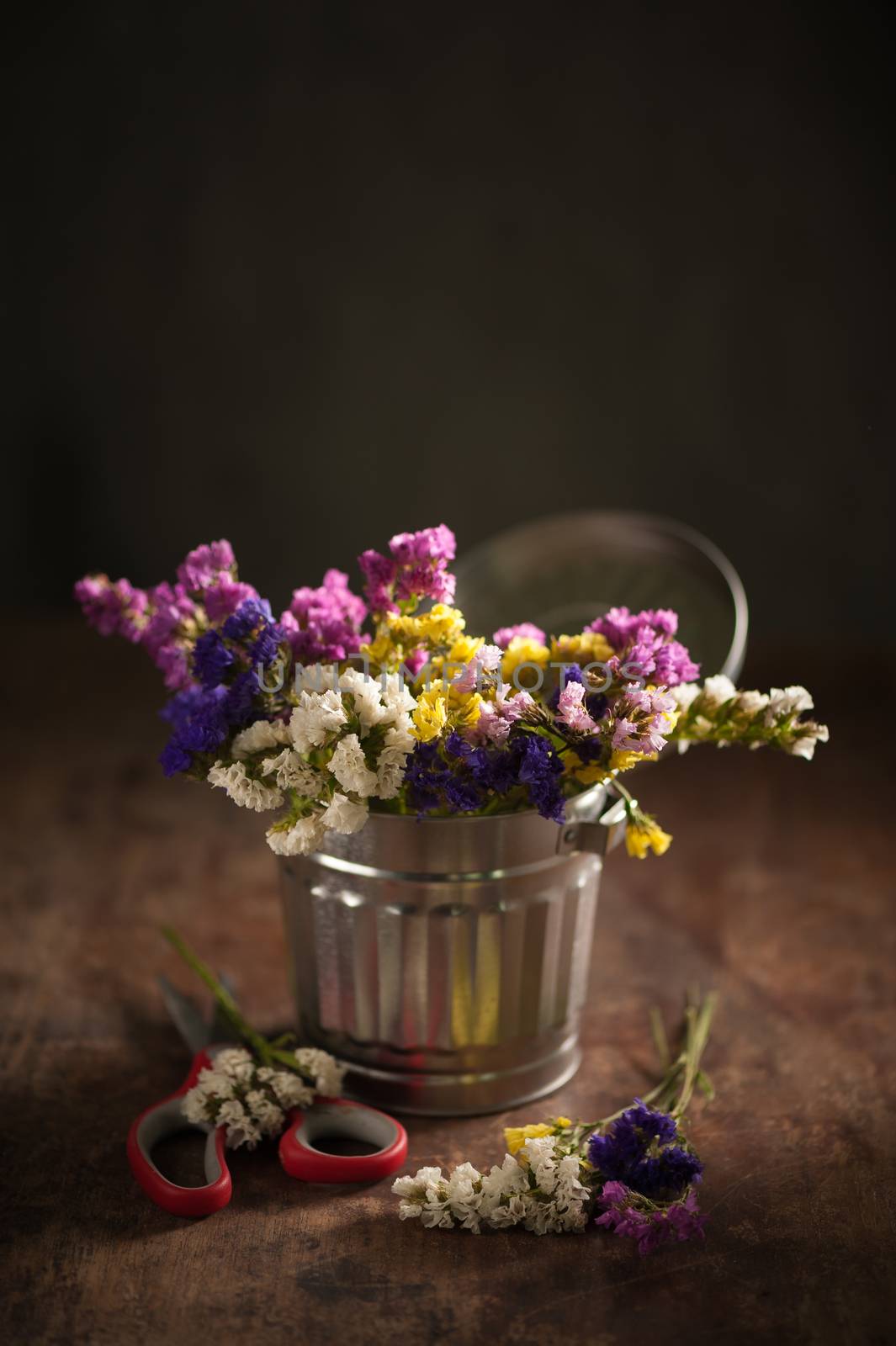 Statice Flower - Limonium with low key scene