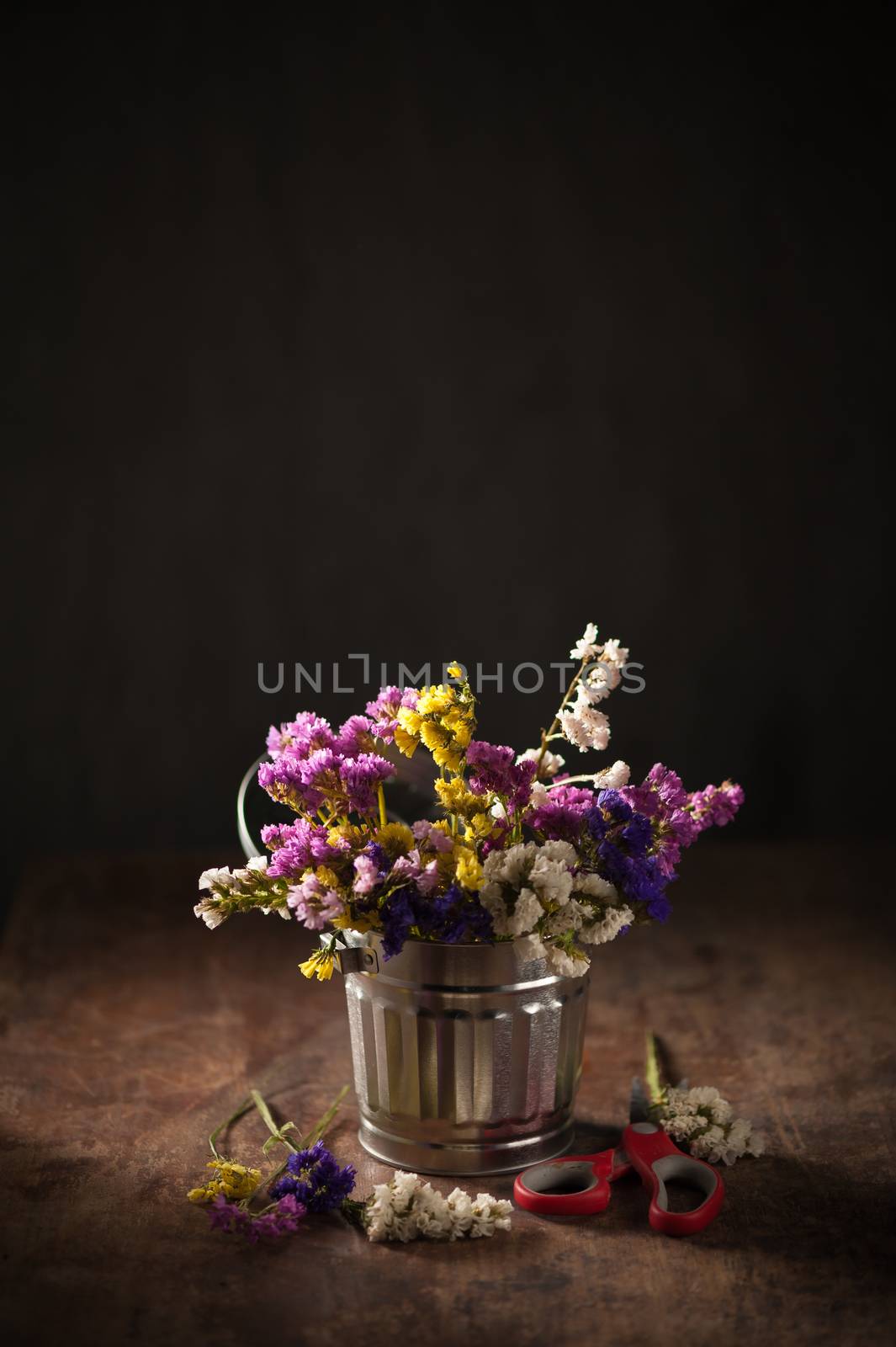 Statice Flower - Limonium with low key scene