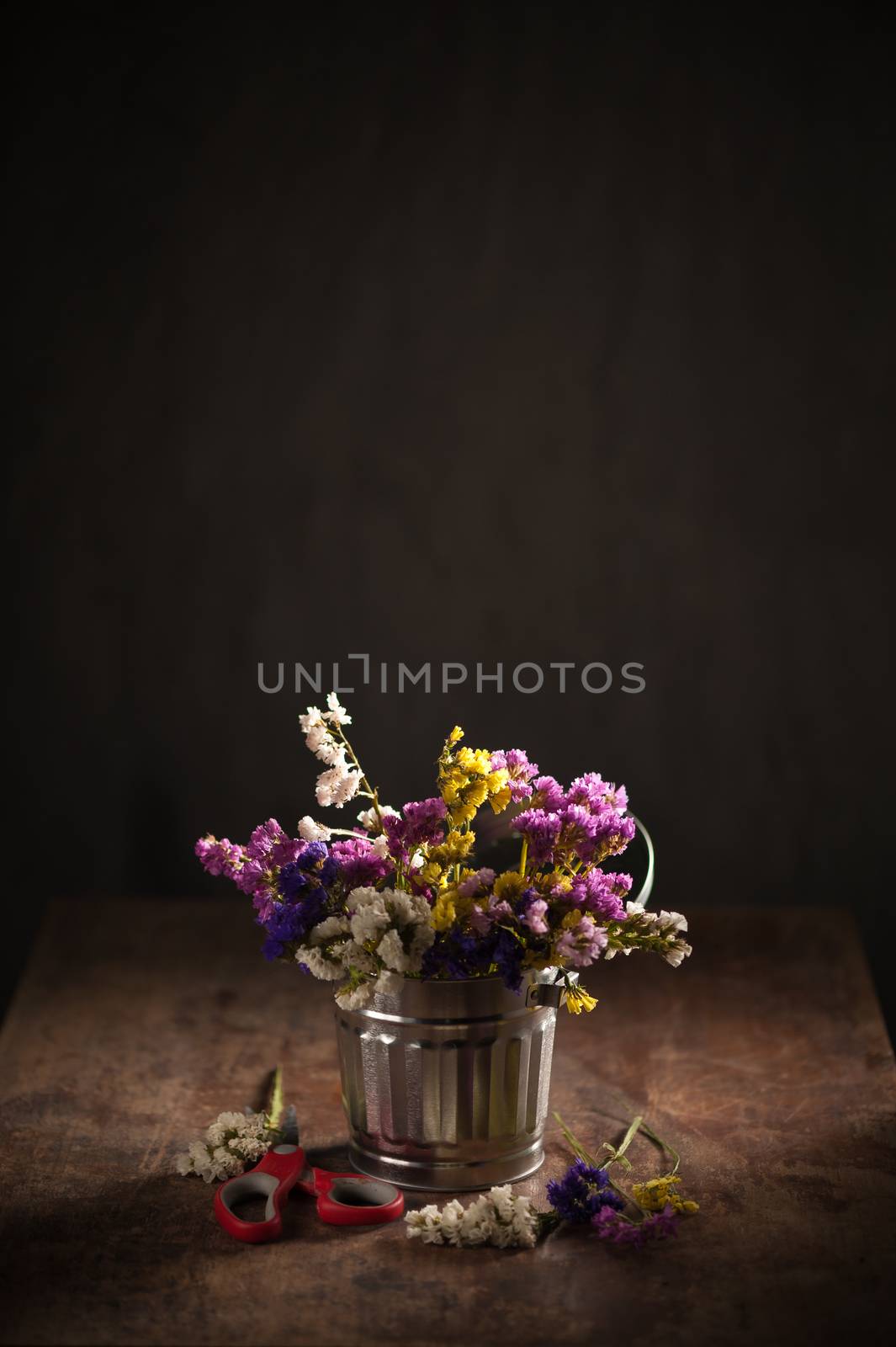 Statice Flower - Limonium with low key scene