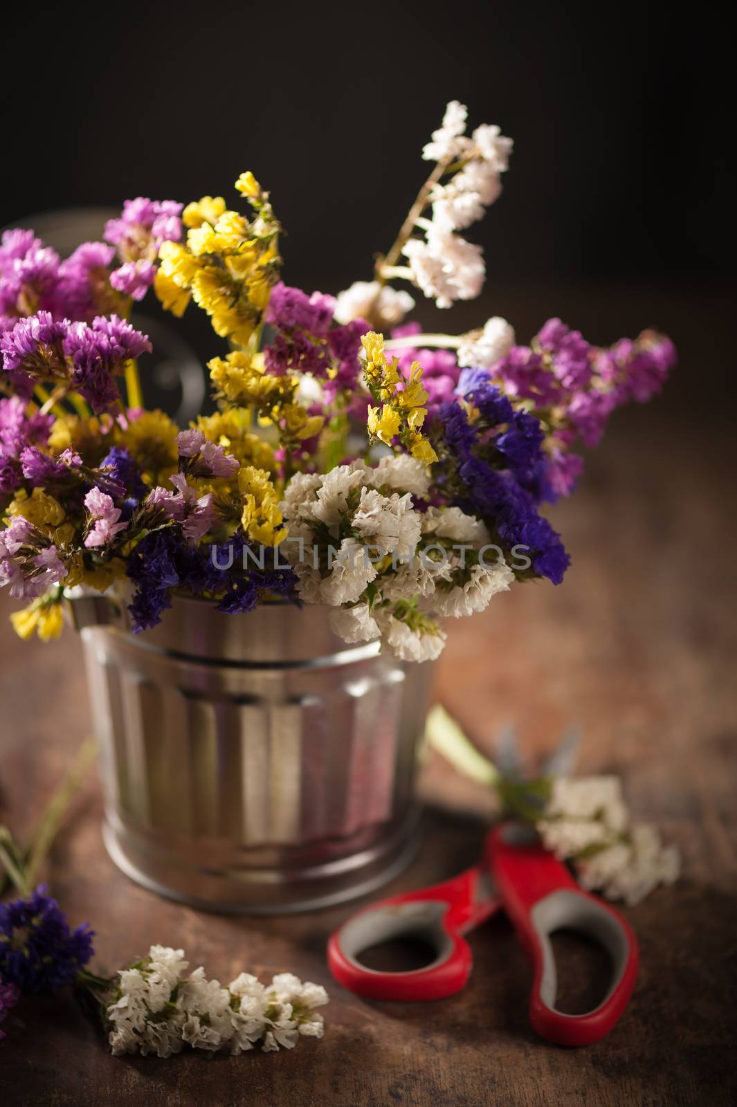Statice Flower - Limonium with low key scene