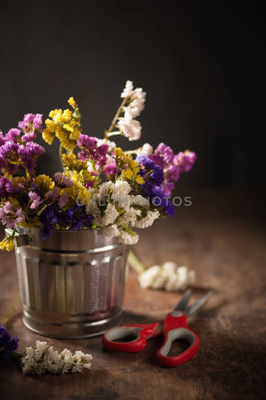 Statice Flower - Limonium with low key scene