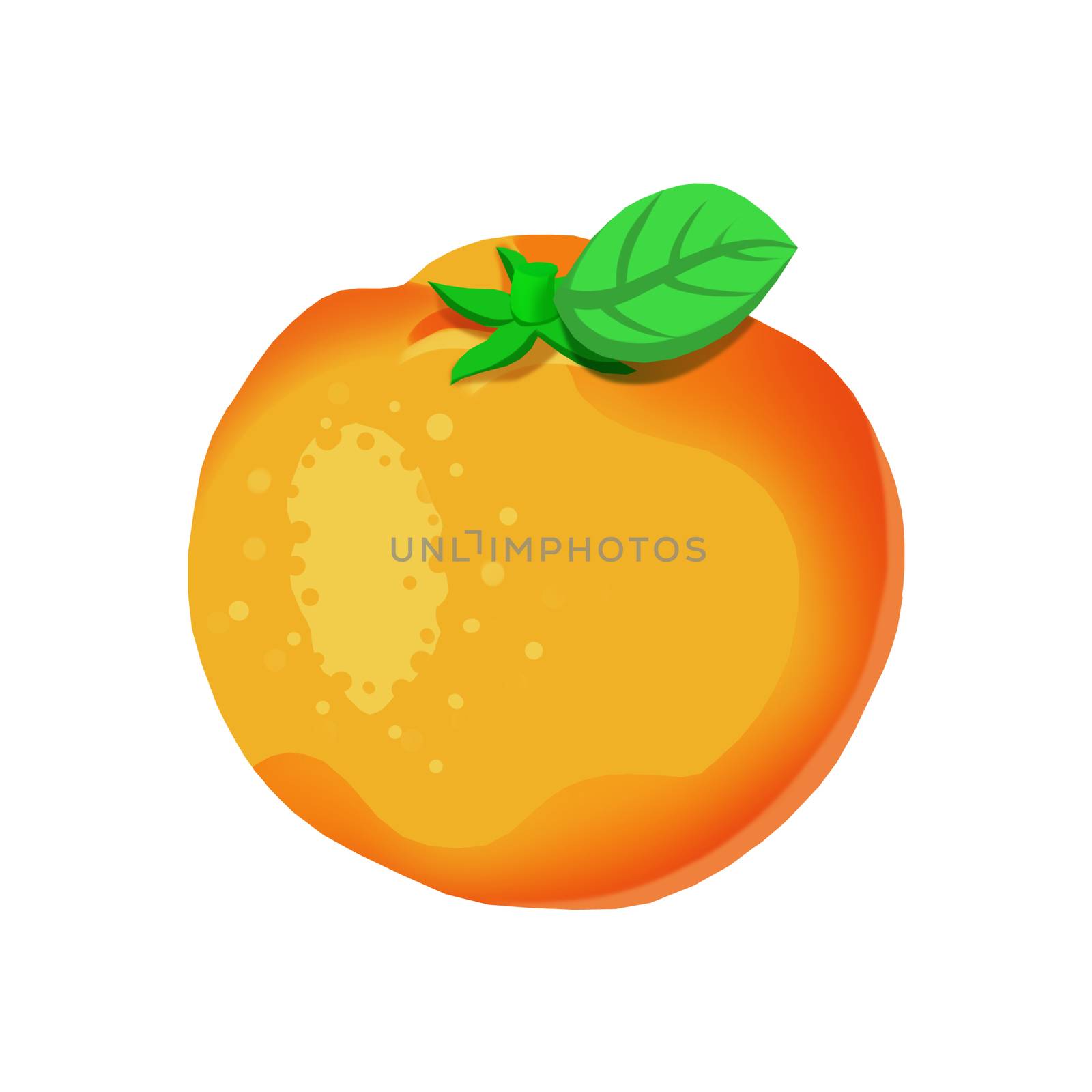 Illustration: Elements Set: Orange. Fantastic Realistic Cartoon Life Style by NextMars