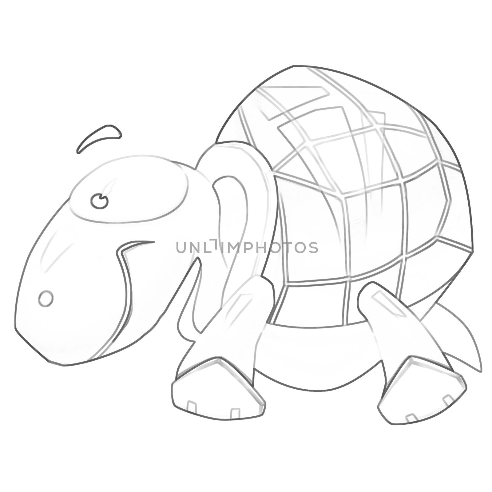 Illustration: Coloring Book Series: Tortoise. Soft thin line. Print it and bring it to Life with Color! Fantastic Outline / Sketch / Line Art Design.