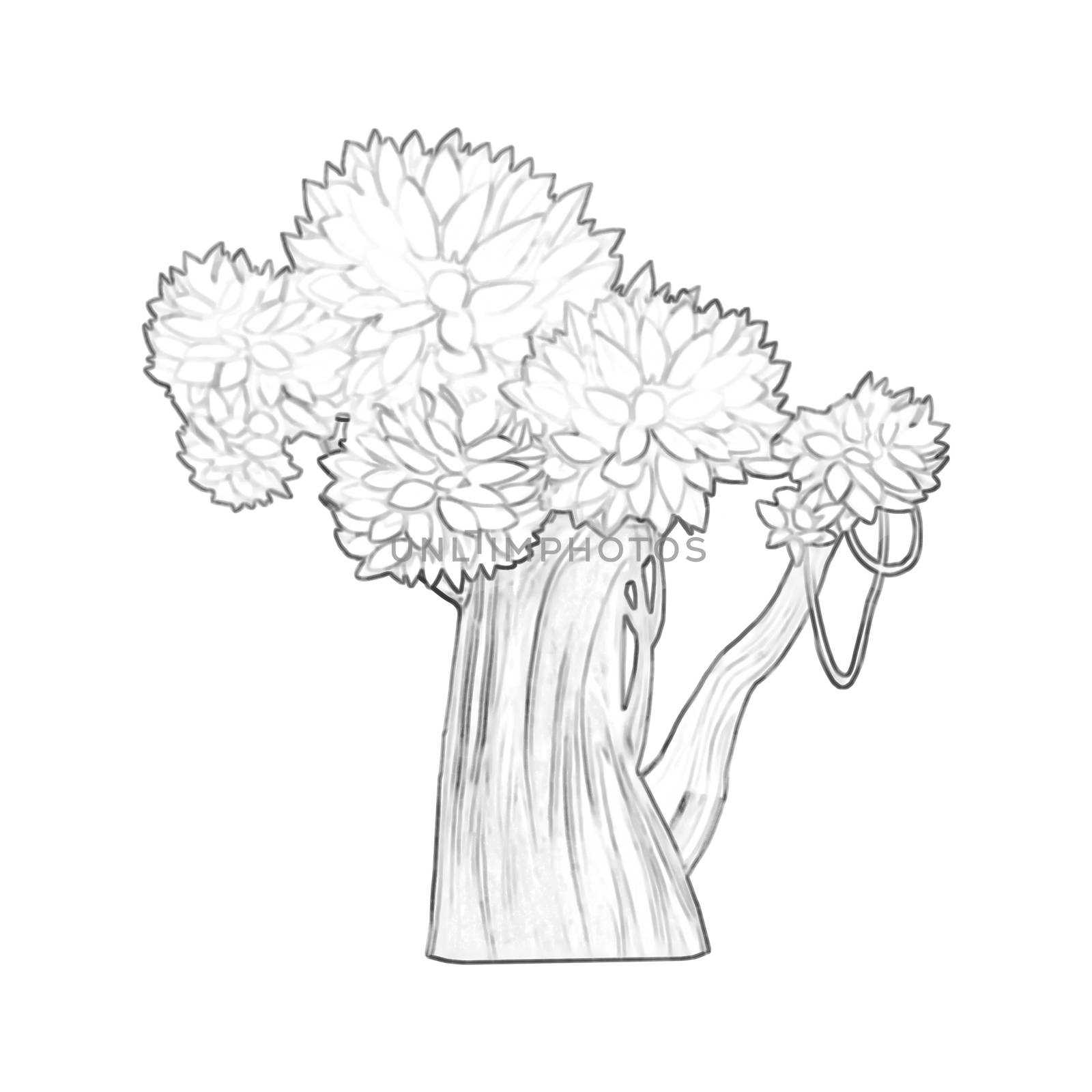 Illustration: Coloring Book Series: Tree. Soft thin line. Print it and bring it to Life with Color! Fantastic Outline / Sketch / Line Art Design. by NextMars