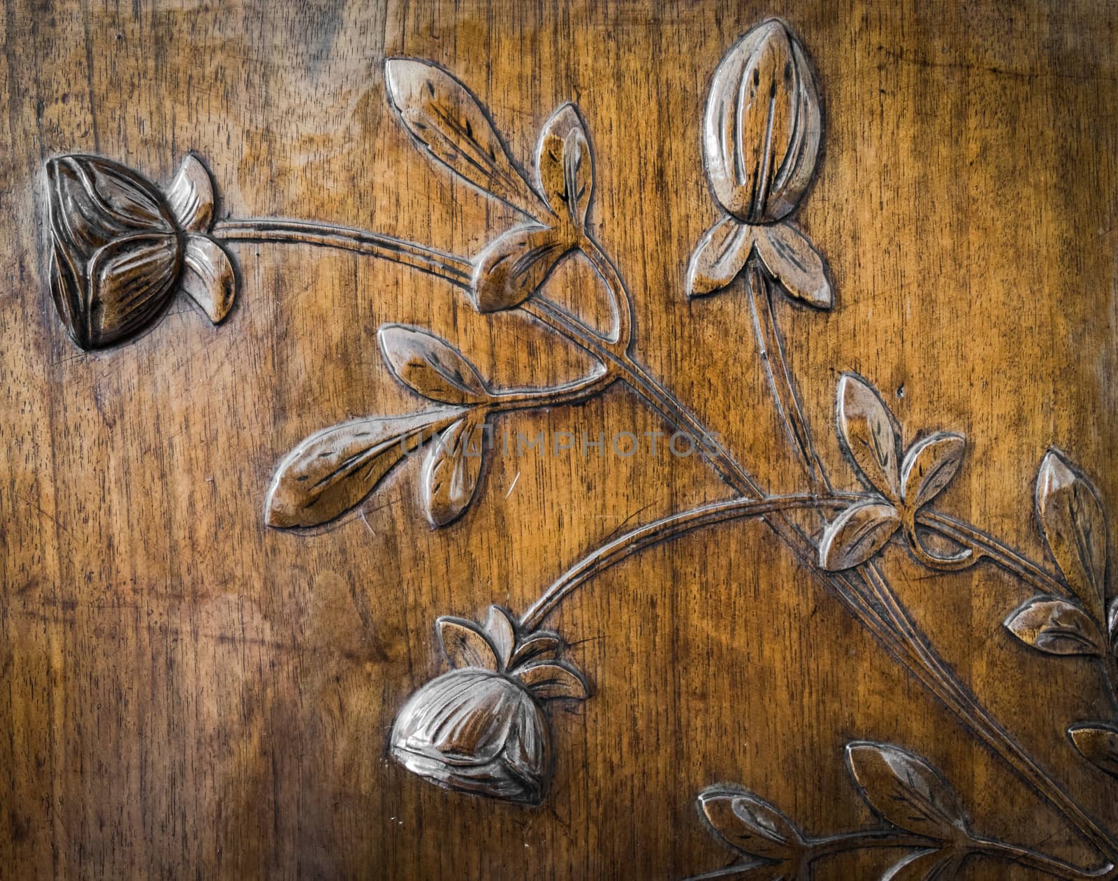 leaves and flowers carved in the wood by Isaac74