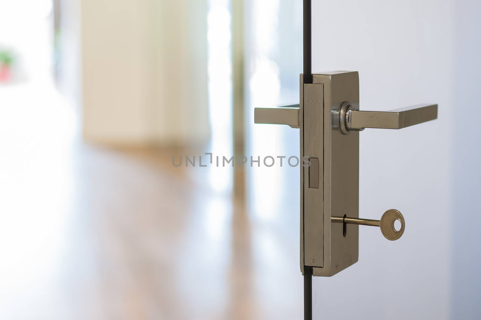 Modern contemporary satin handle on a glass door