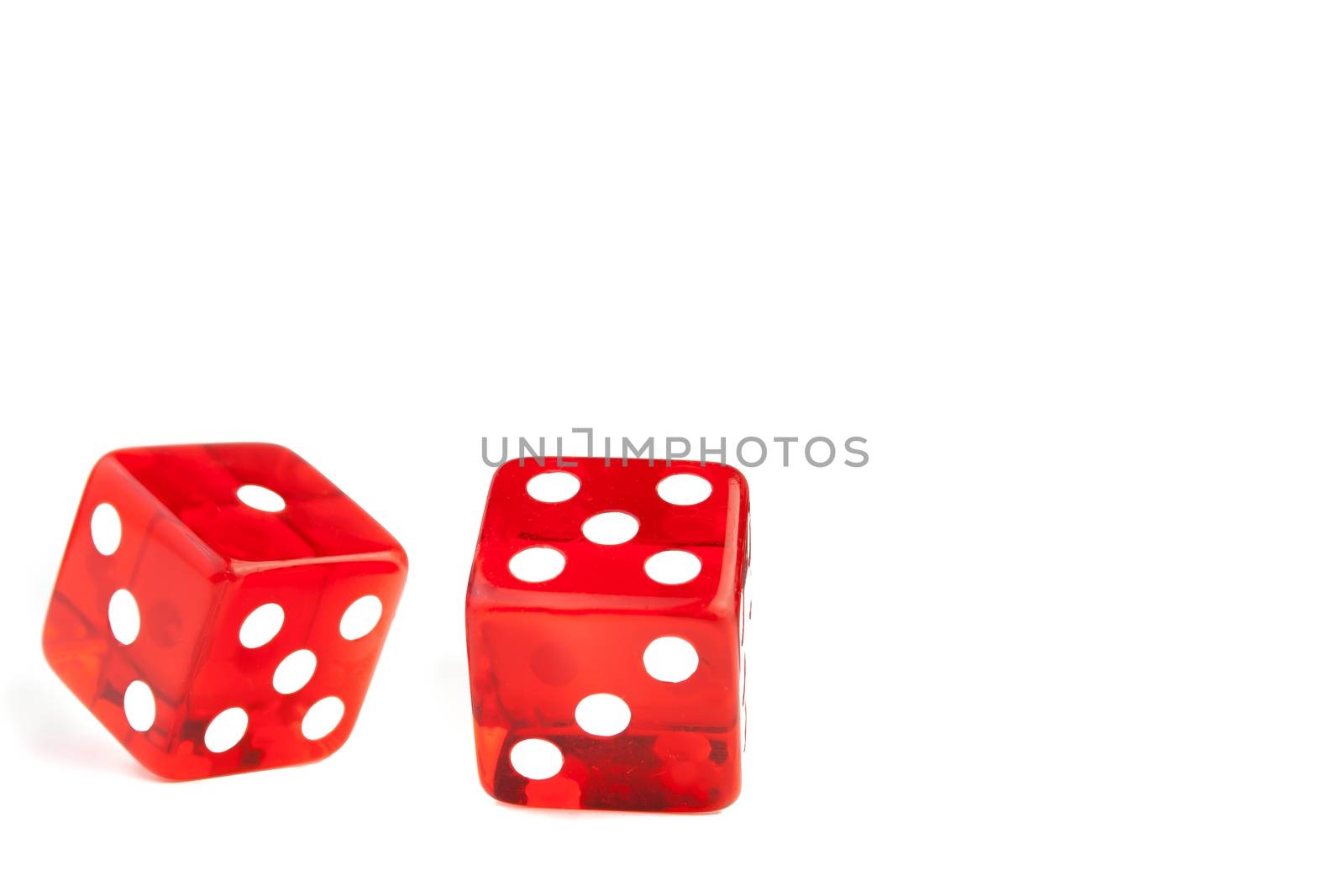 red dice on white background with space for text