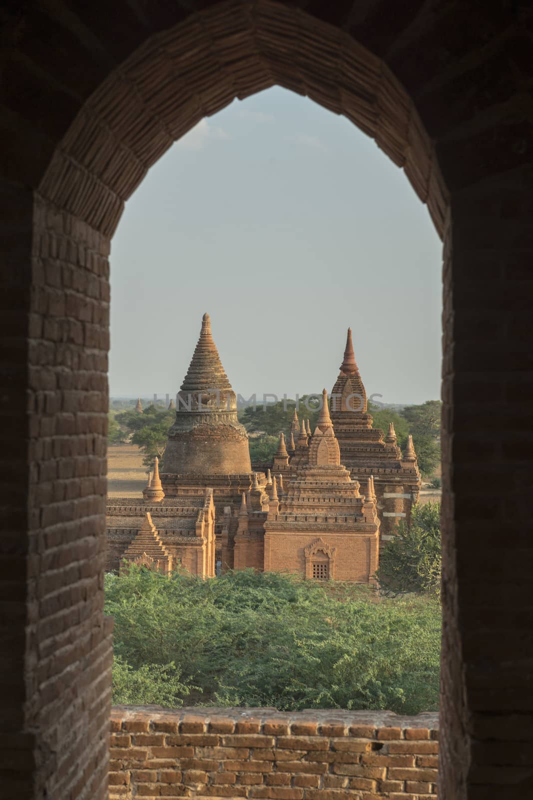 the Temple and Pagoda Fields in Bagan in Myanmar in Southeastasia.