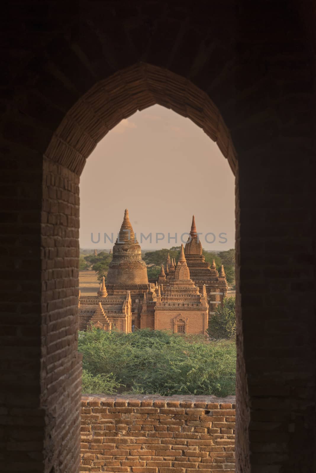 the Temple and Pagoda Fields in Bagan in Myanmar in Southeastasia.