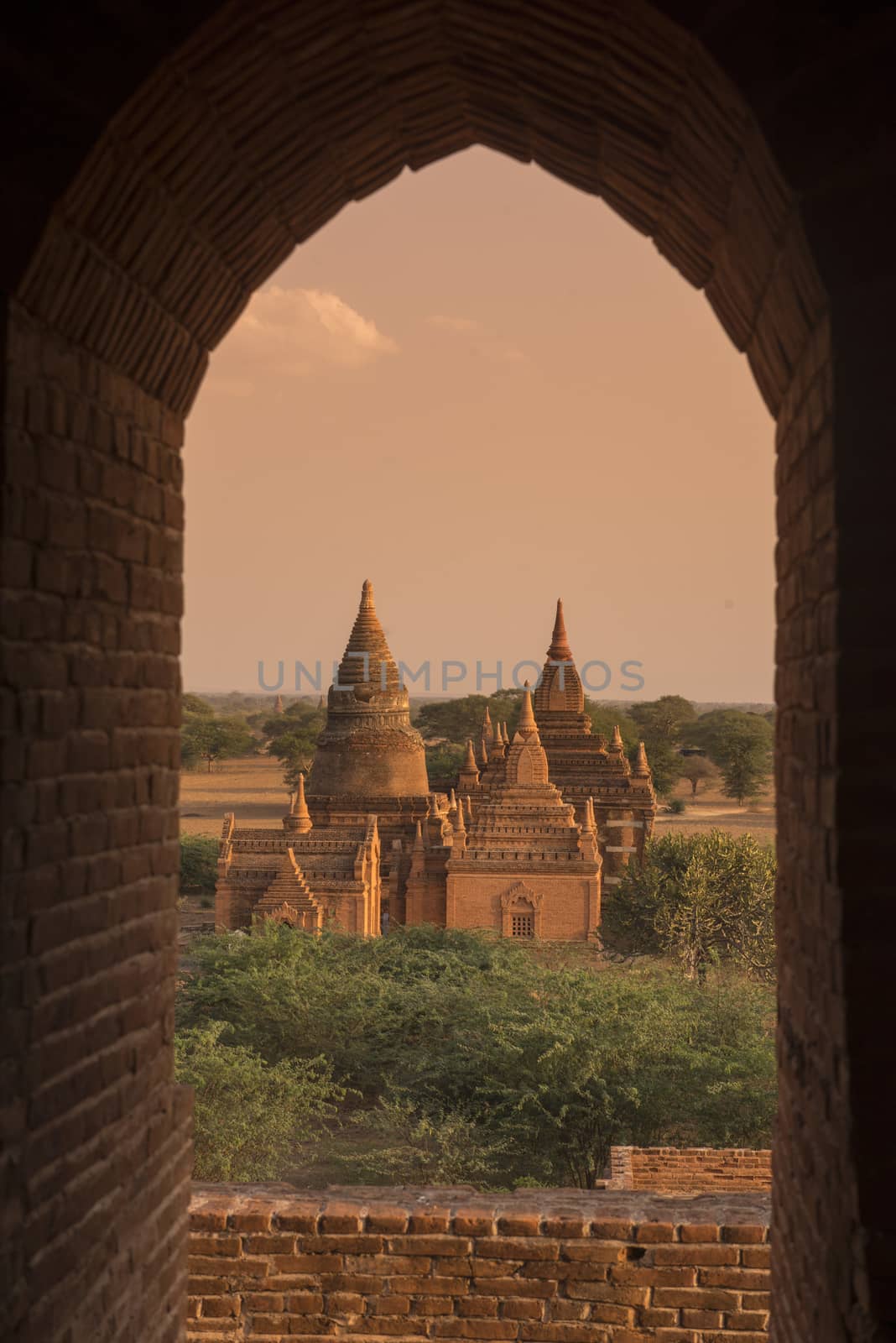 the Temple and Pagoda Fields in Bagan in Myanmar in Southeastasia.