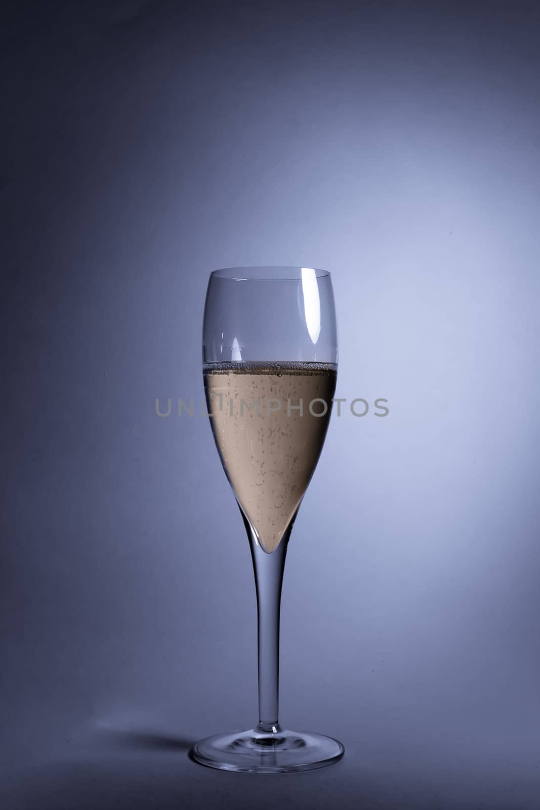 close-up of glass of champagne on light blue background