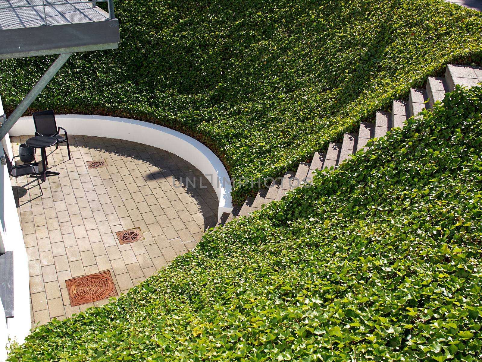 Ground small hill covered completely with lush green ivy