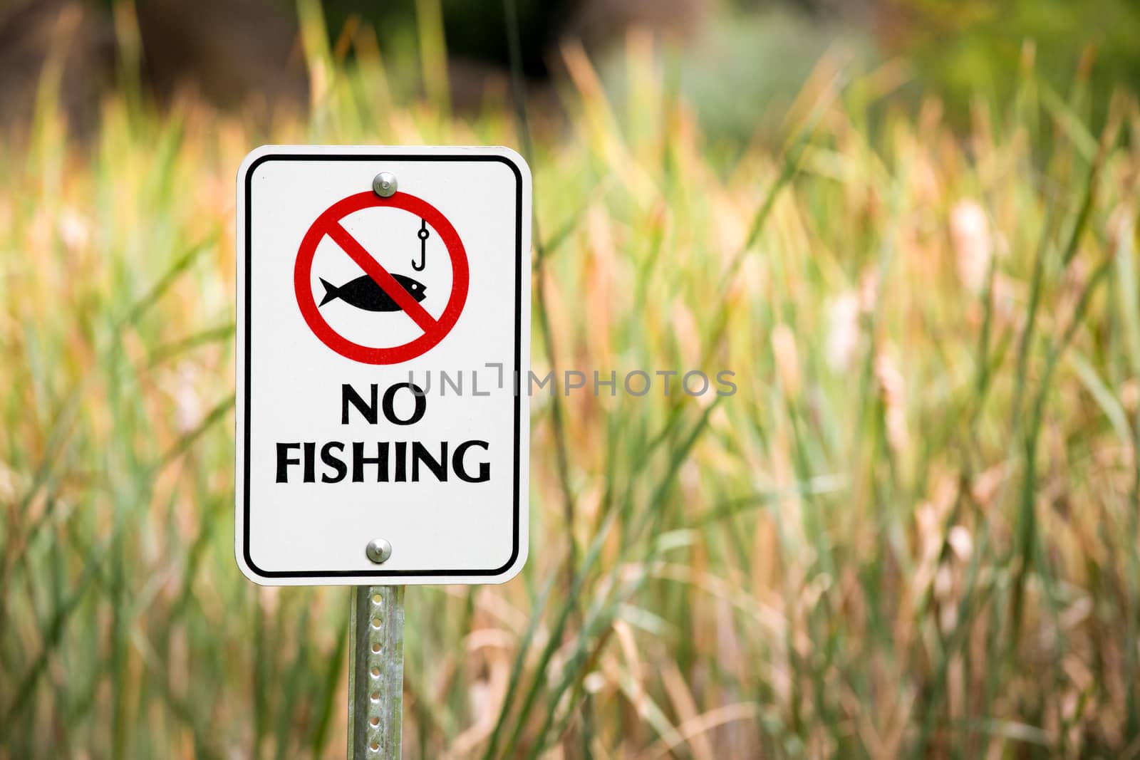 Sign in front of some tall grass showing no fishing allowed