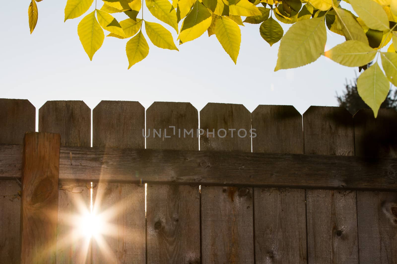 Rays of the sun shining through the post in a fence
