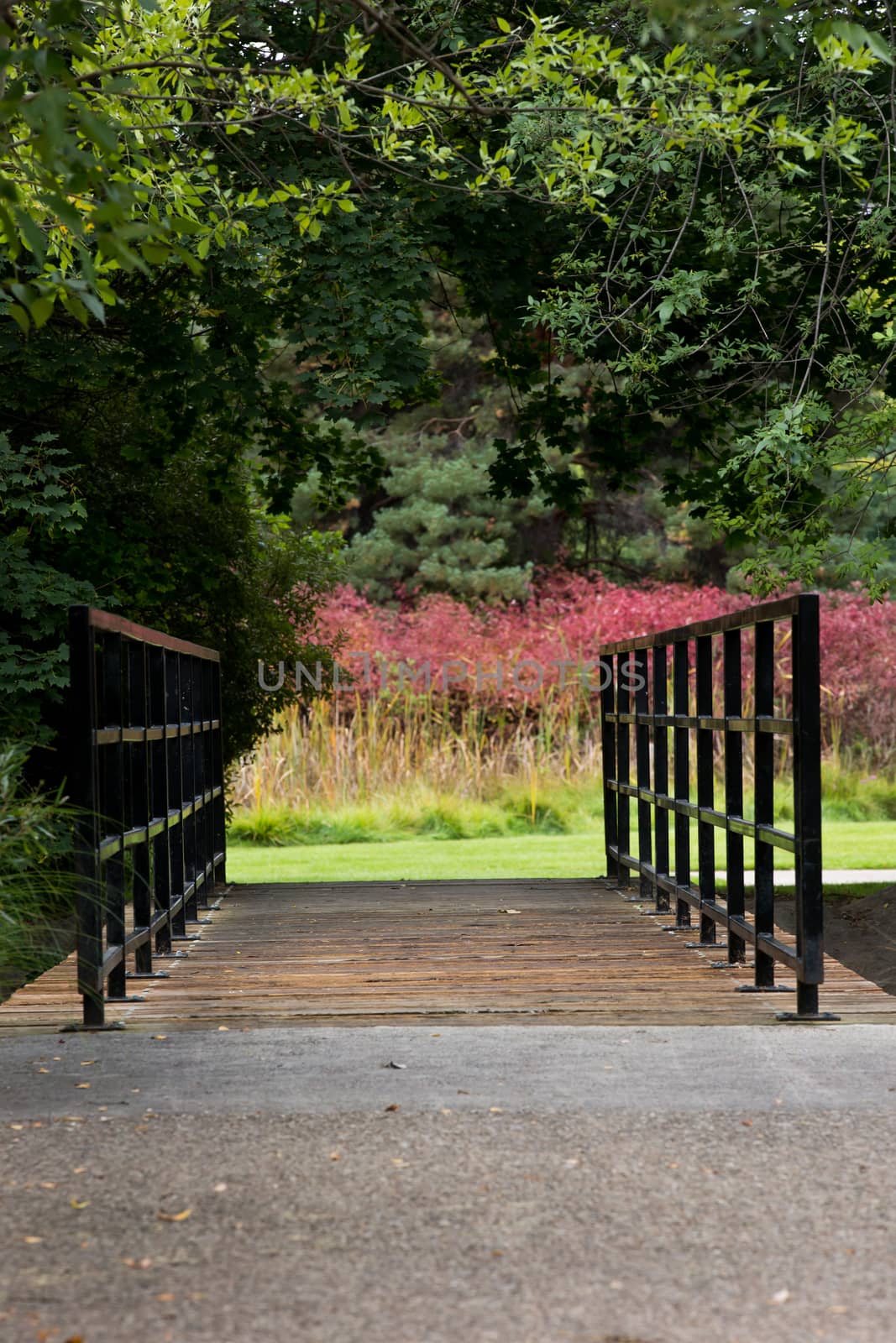 Walkway with a bridge at the local park