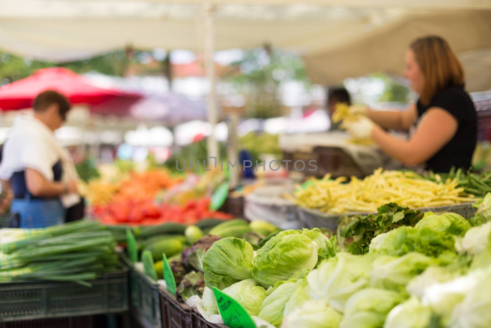 Farmers' food market stall with variety of organic vegetable. Vendor serving and chating with customers.