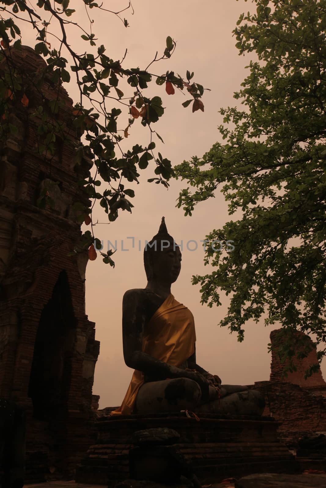  the Wat Phra Mahathat in the city of Ayutthaya north of bangkok in Thailand in southeastasia.