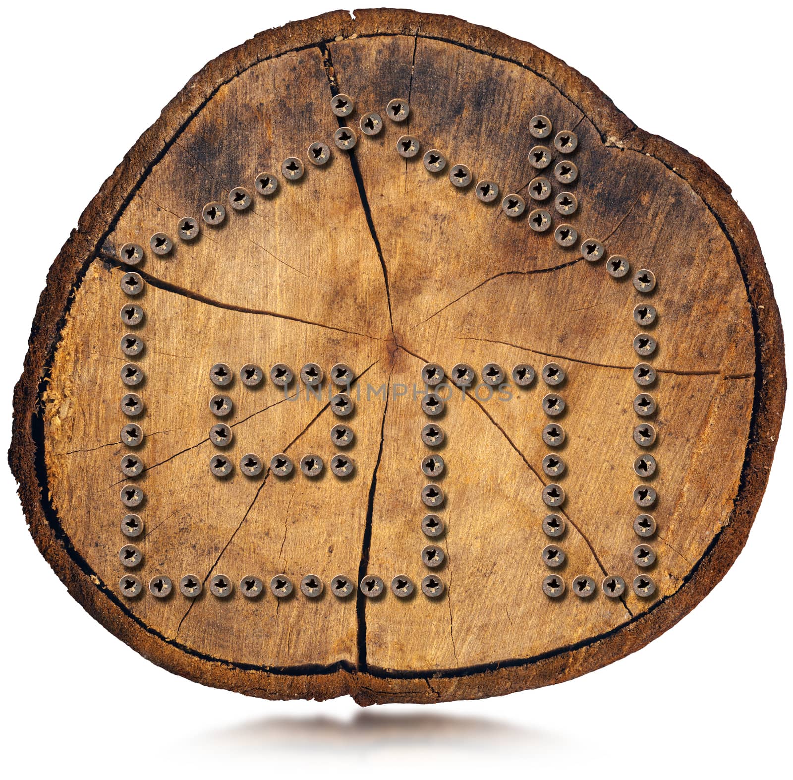 House Symbol - Screws on Tree Trunk by catalby