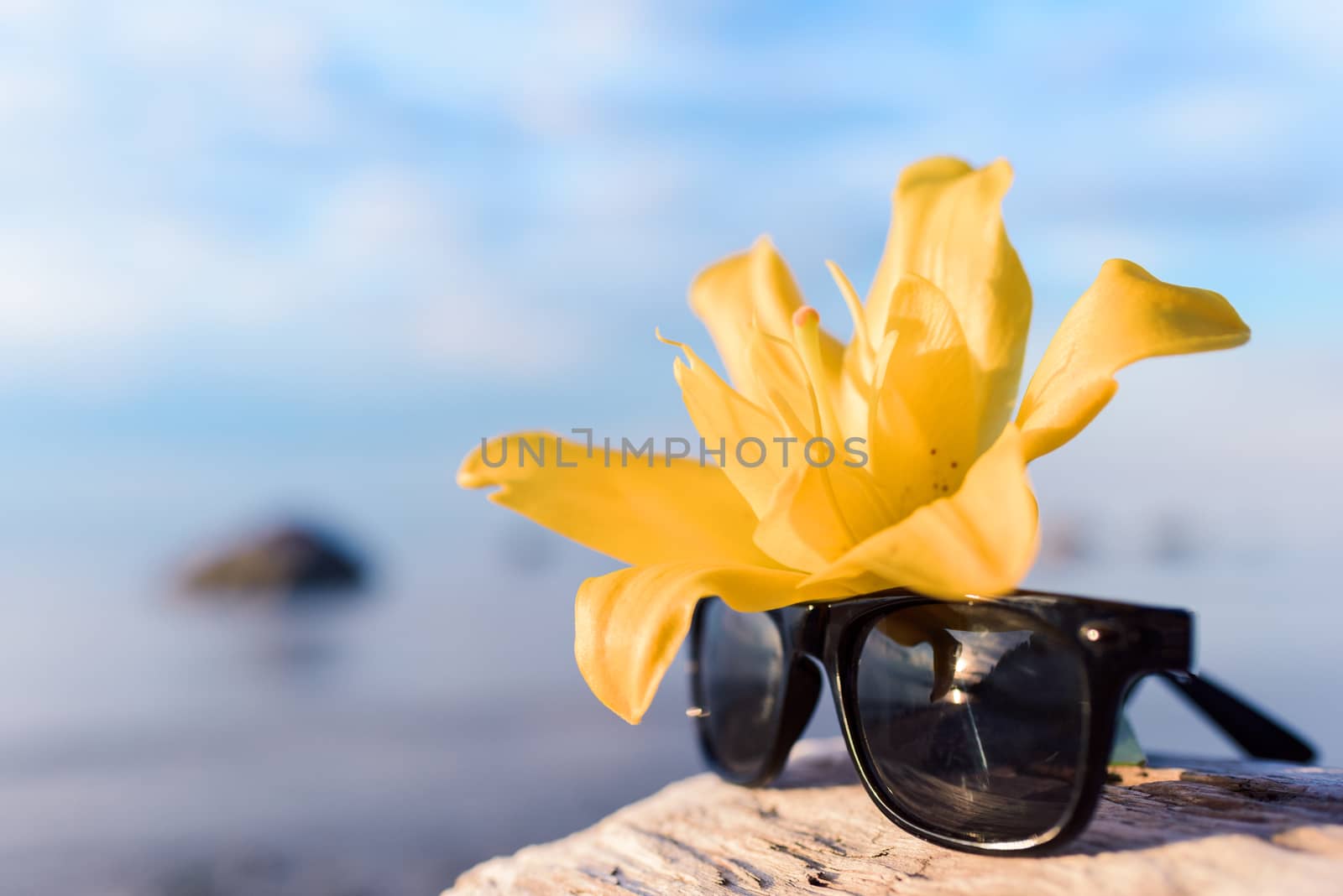Yellow flower of lily and glasses on the seashore