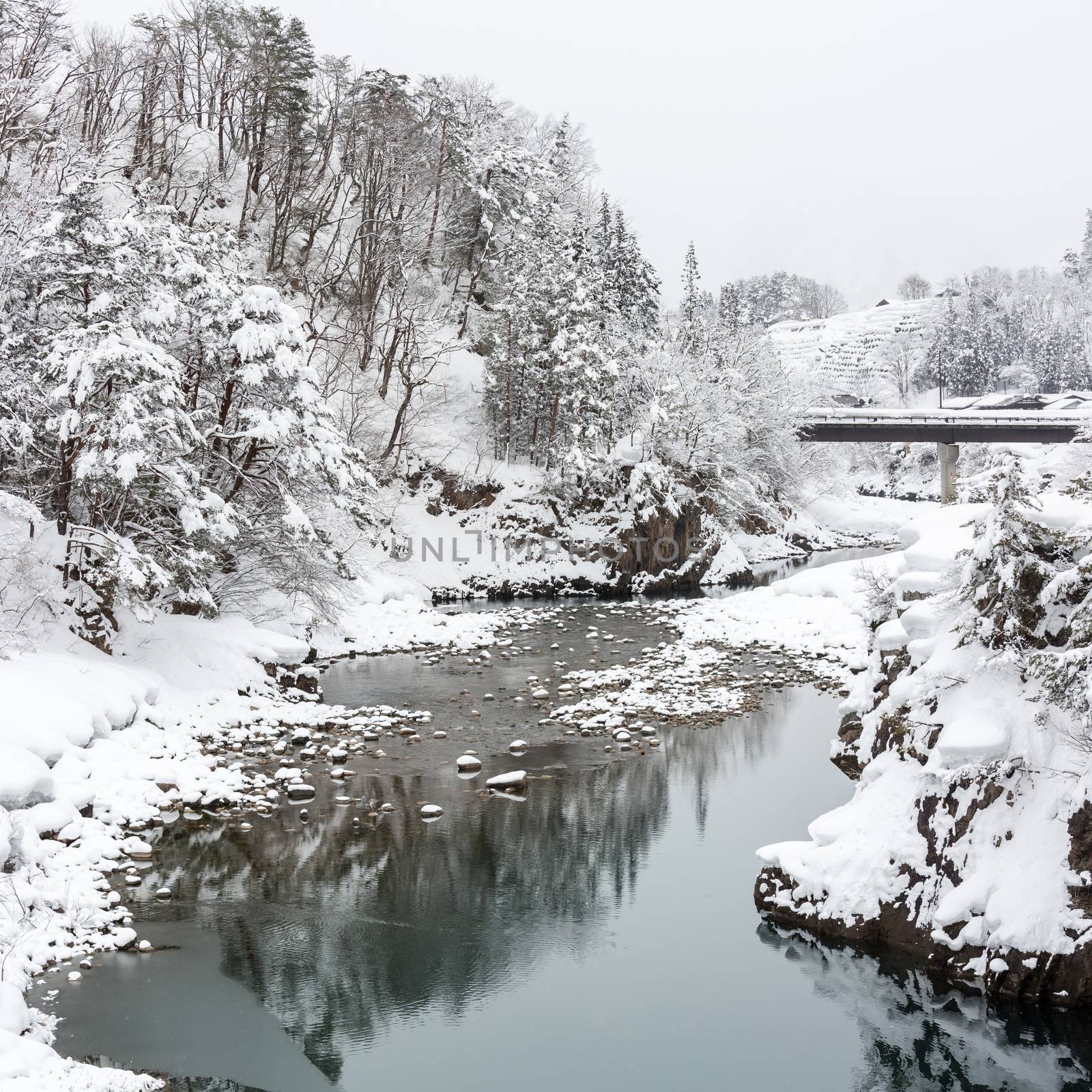 Shirakawago Japan Winter by vichie81