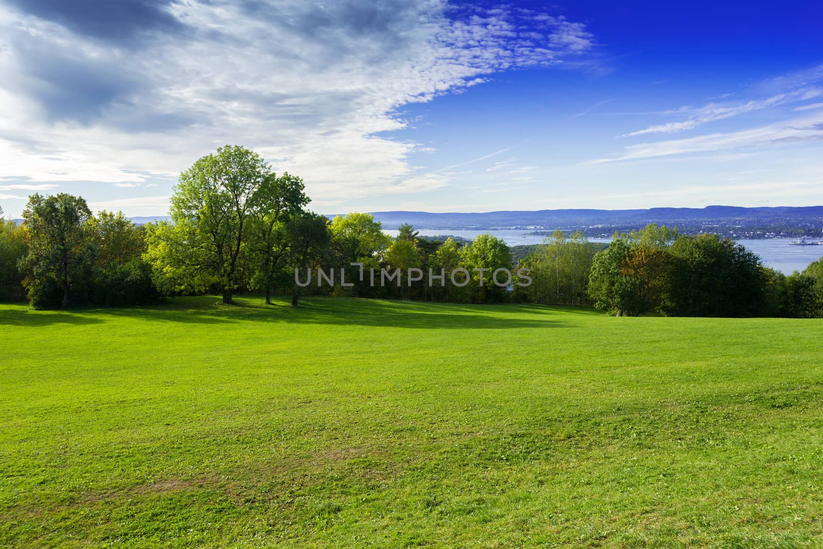 Grassy meadow with trees, sky and clouds
