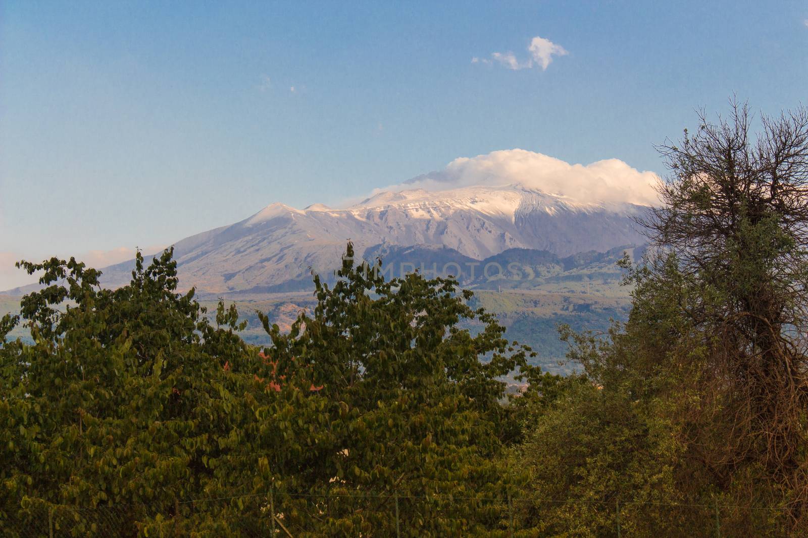 The Etna volcano photographed from Taormina under a blue sky and a cloud against the mountain with Italian woods and trees in the foreground.