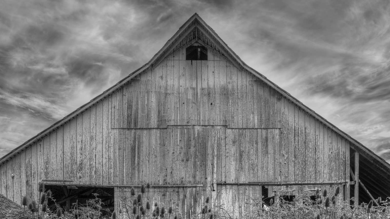 Abandoned Barn, Black and White Image by backyard_photography