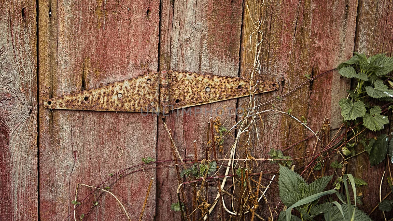 Abandoned Barn Door Hinge by backyard_photography