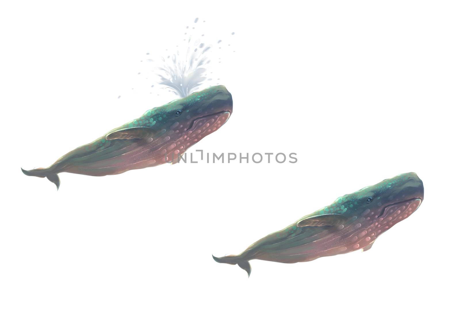 Illustration: Illustration: The Great Whale Flying in the Sky. Put it in a white background in case you need it. Fantastic / Realistic / Cartoon Style. Wallpaper / Background / Scene Design