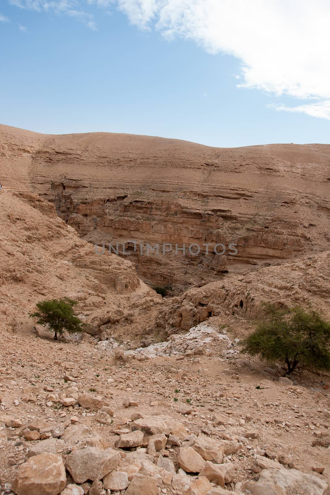 Hiking in judean desert by javax