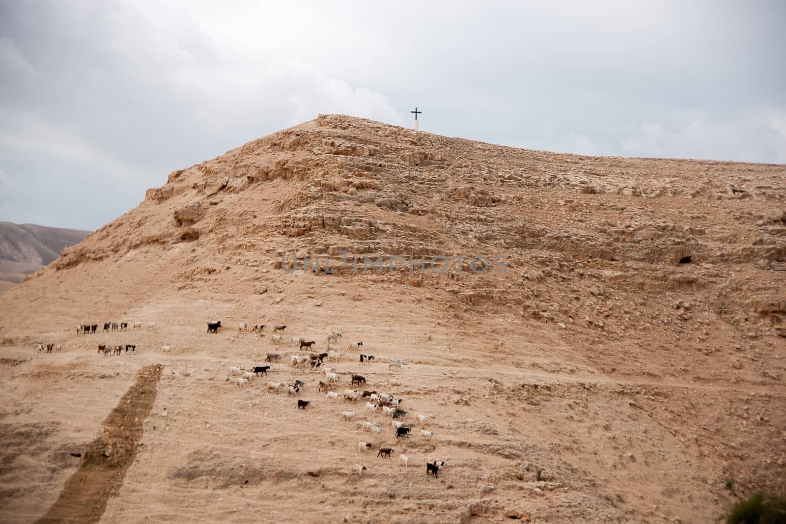 Cross in judean desert by javax