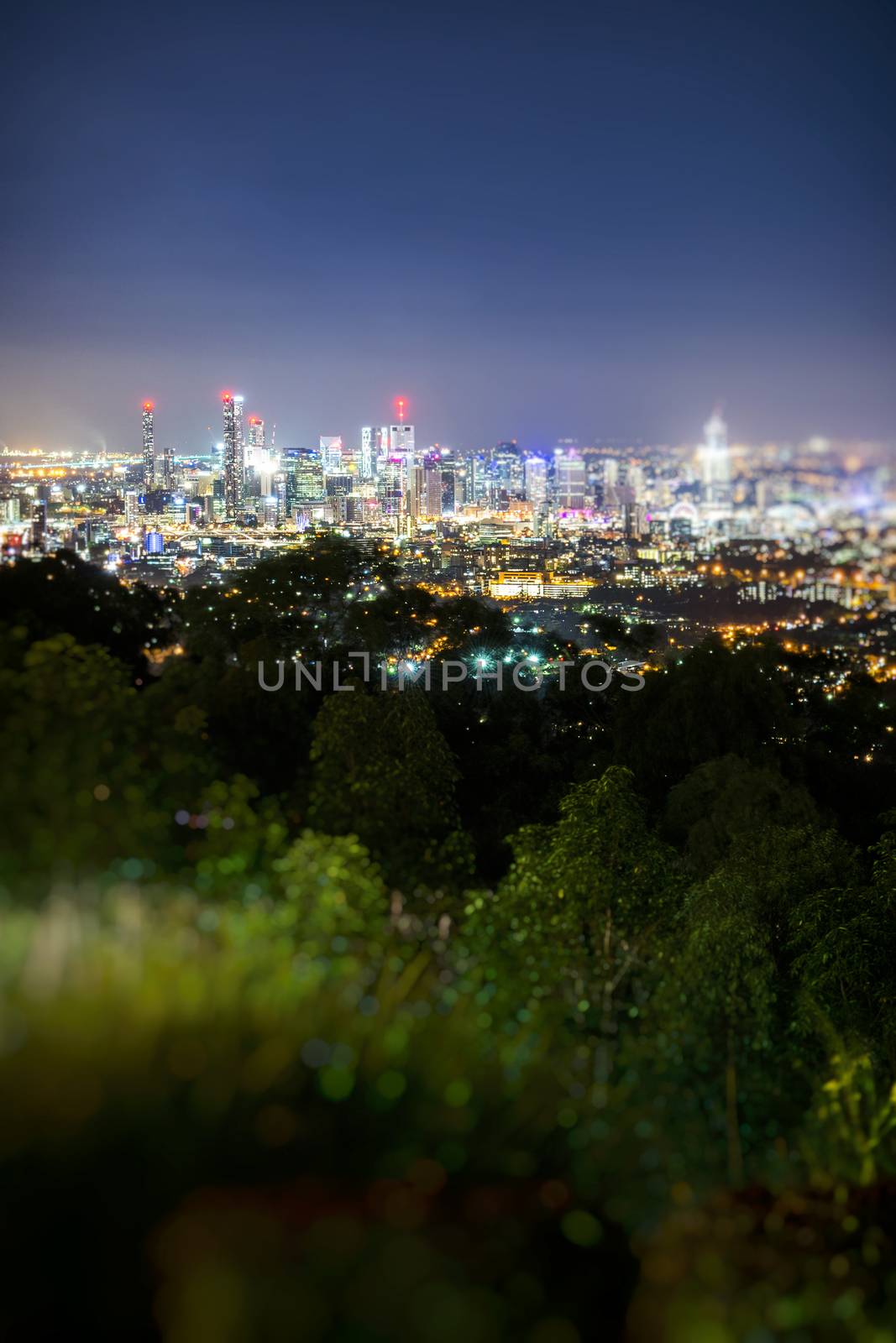 View of Brisbane City from Mount Coot-tha by artistrobd