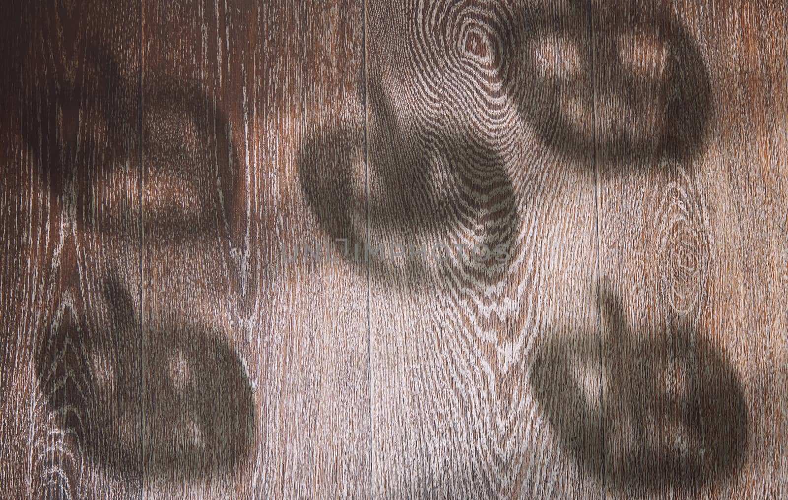 Shadoes of Halloween pumpkins on a hardwood texture